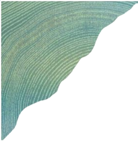 image-19
